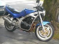 suzuki gs500 e
