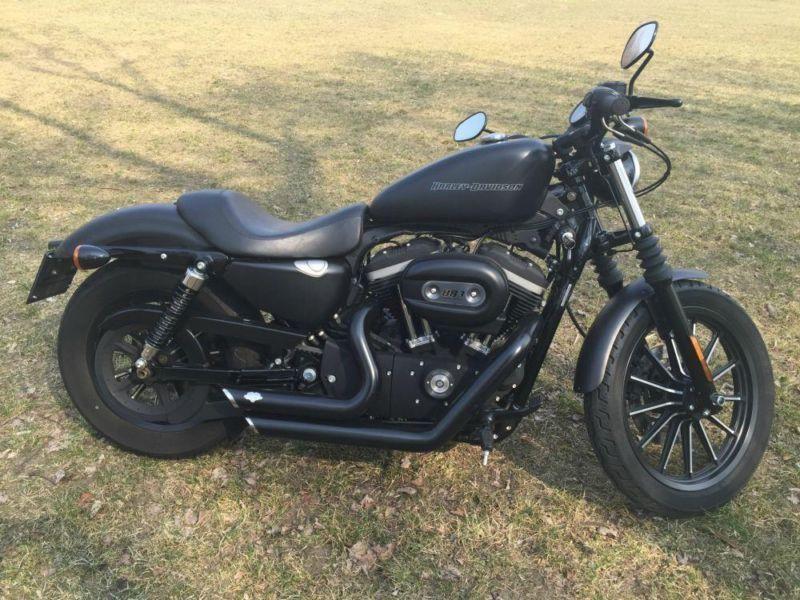 Harley-Davidson Iron Sportster XL883