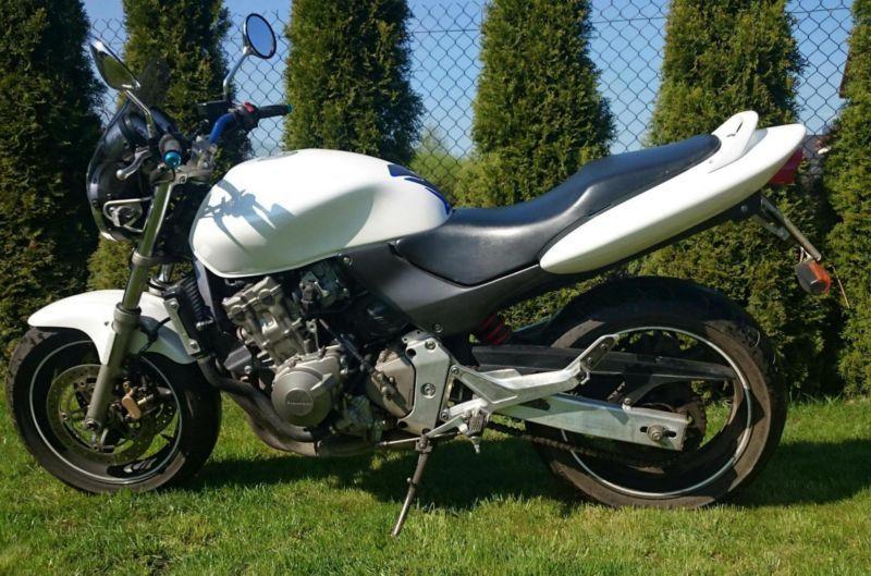 Honda Hornet od motocyklisty.