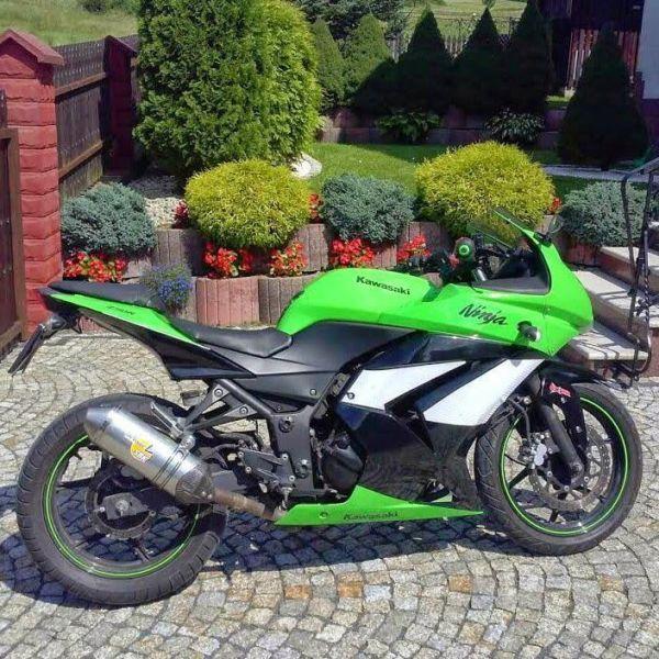 Kawasaki Ninja 250r, Special Edition, LeoVince, Kat A2