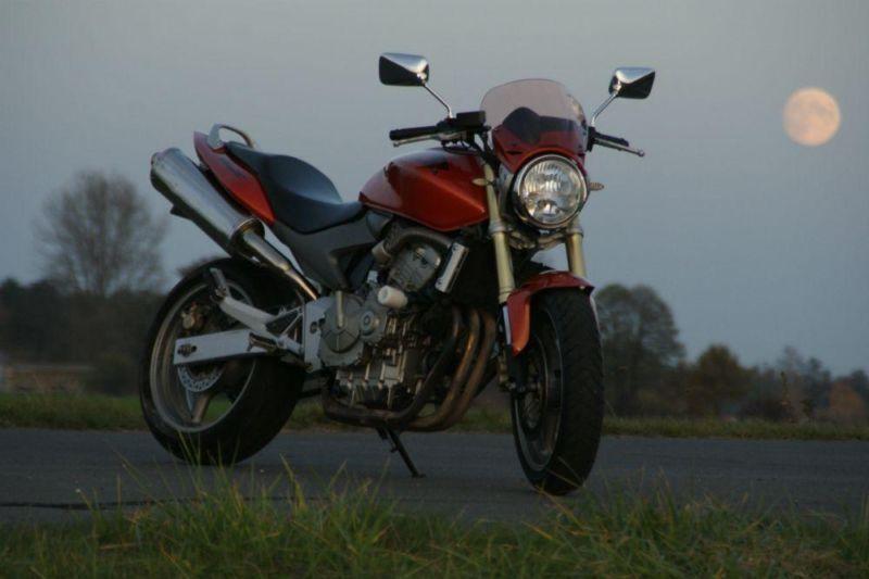 Honda Hornet