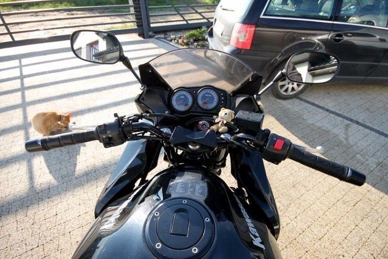 2005 Kawasaki Z750S doinwestowany, sportowy wydech, nowe opony, 2005 rok, ładny egzemplarz