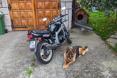 1995 Suzuki GS