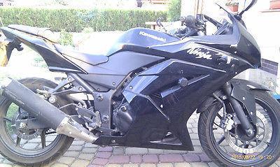 2010 Kawasaki Ninja 250R