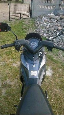 2009 Scooter Other