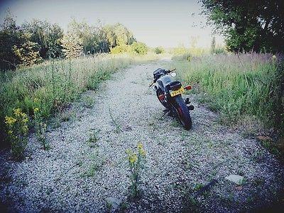 Cafe Racer Kawasaki GPZ 305