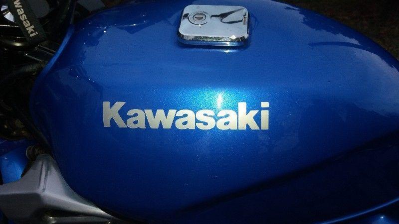 Kawasaki ER 5, ER 500