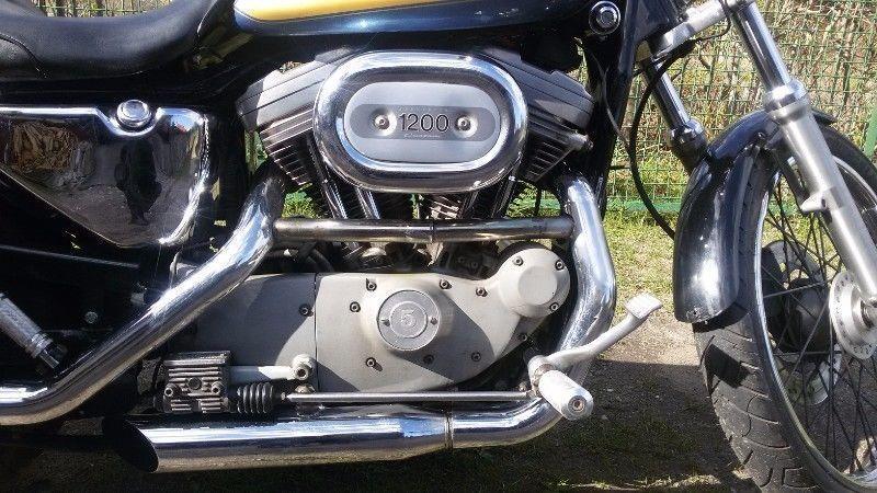 Harley Davidson Sportster Evolution Custom