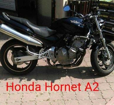 Honda Hornet A2 Gratisy