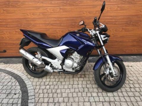 2009 Yamaha YBR 250