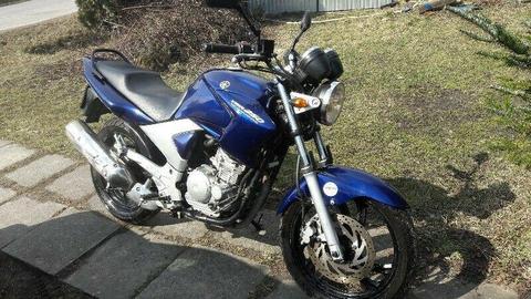 2009 Yamaha YBR250