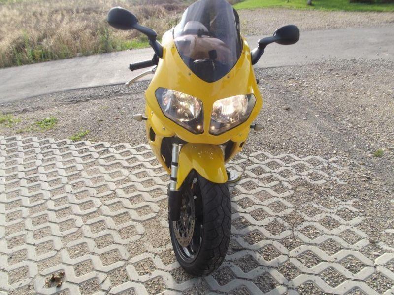 Triumph Daytona 955i, cbr r1 gsxr